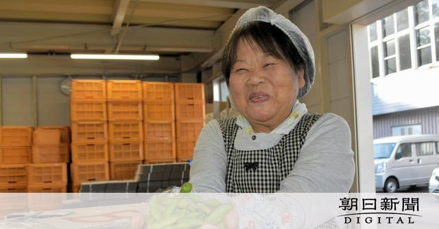 「幻の大豆」どう守る？　猛暑で不作続き、担い手不足の懸念も：朝日新聞デジタル